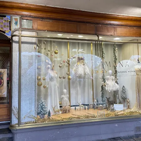 Mana - Mahana Avec Vue Superbe Sur La Place Ducale Et Parking Prive Inclus Apartment